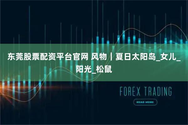 东莞股票配资平台官网 风物｜夏日太阳岛_女儿_阳光_松鼠
