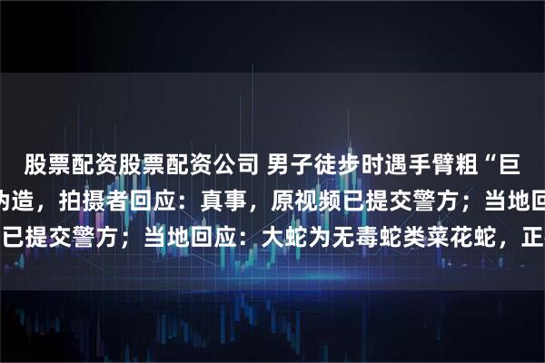 股票配资股票配资公司 男子徒步时遇手臂粗“巨蛇”，网友质疑视频系伪造，拍摄者回应：真事，原视频已提交警方；当地回应：大蛇为无毒蛇类菜花蛇，正在排查